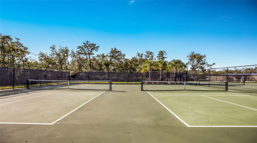 Pickleball Cours