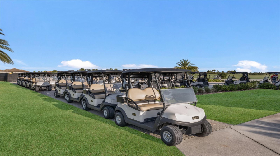 Golf Carts