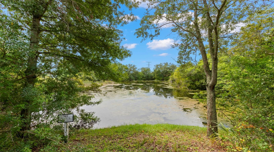 Pond Views From Patio