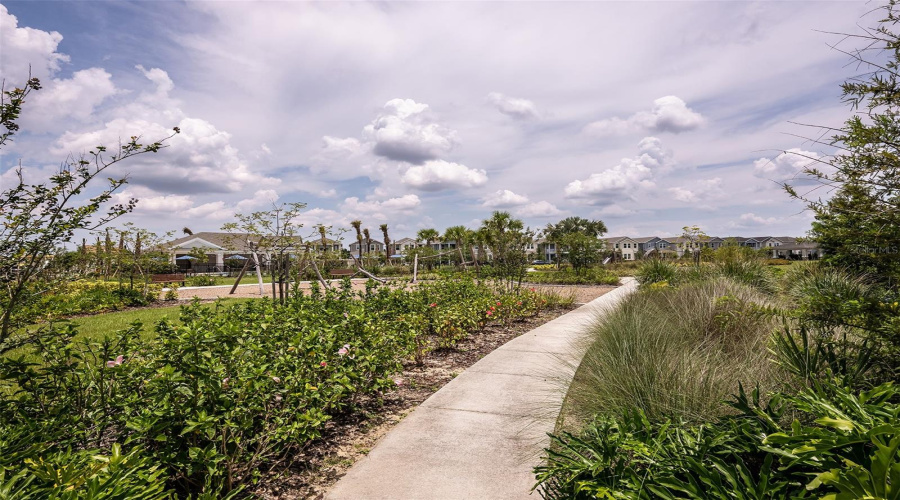 Harvest At Ovation Community