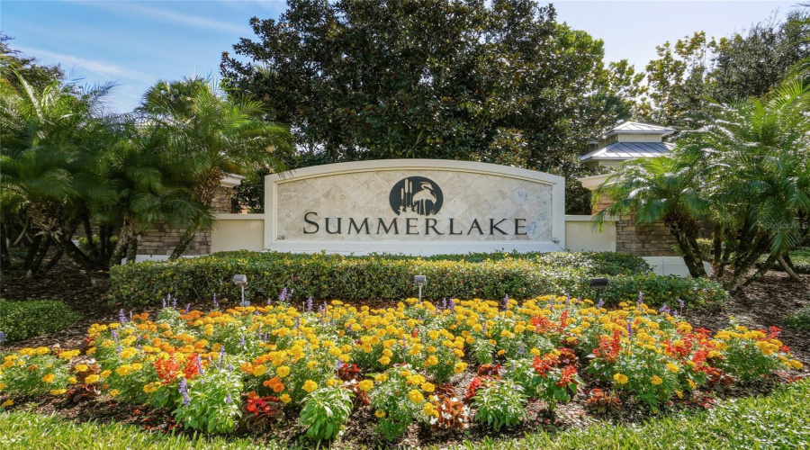Winter Garden, Florida 34787, 3 Bedroom Bedrooms, ,3 Bathroombathrooms,Residential,For Sale,Snowy Egret,0,Mfro6432400
