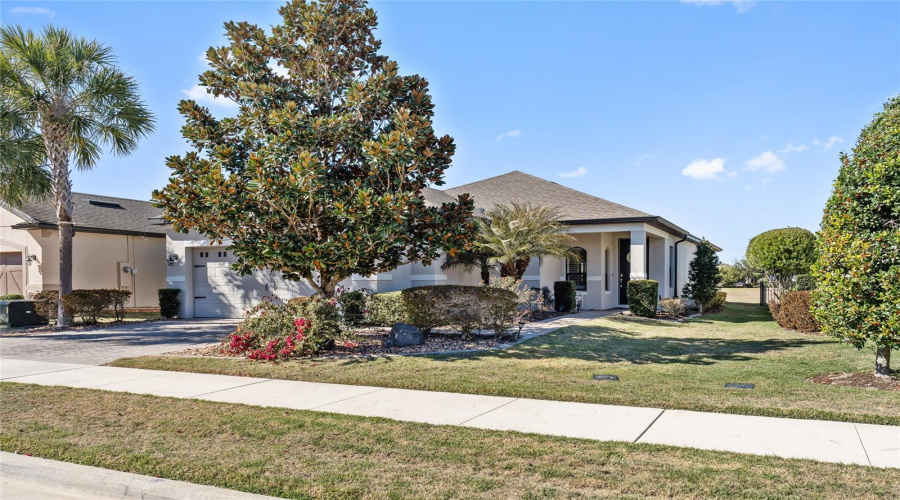 Clermont, Florida 34715, 2 Bedroom Bedrooms, ,2 Bathroombathrooms,Residential,For Sale,Stargrass,0,Mfro6379731