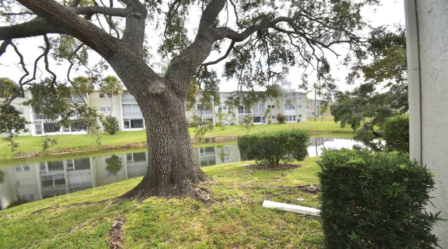 Dunedin, Florida 34698, 2 Bedroom Bedrooms, ,2 Bathroombathrooms,Residential,For Sale,Virginia,0,Mfrtb8430566