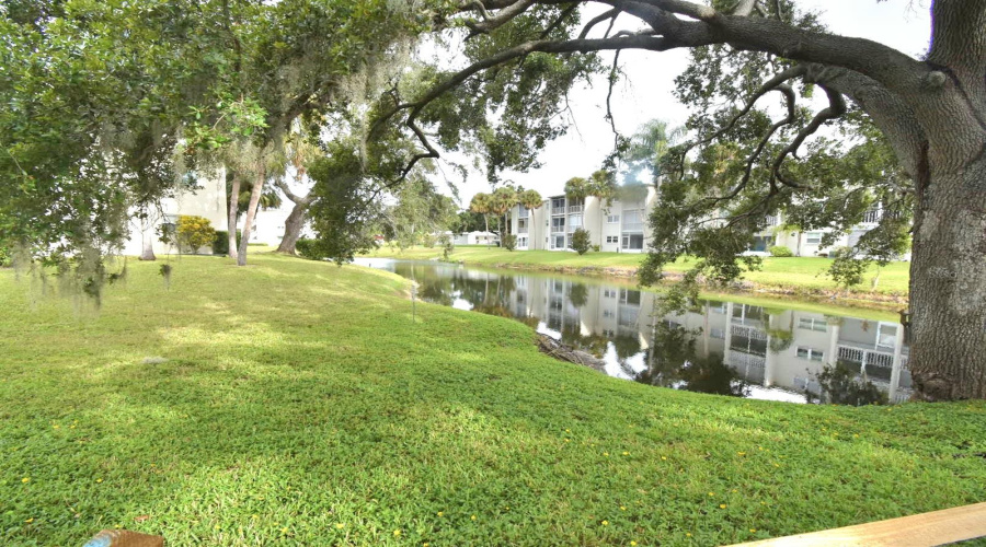 Dunedin, Florida 34698, 2 Bedroom Bedrooms, ,2 Bathroombathrooms,Residential,For Sale,Virginia,0,Mfrtb8430566