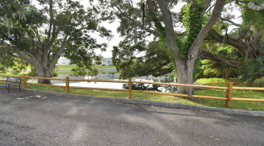 Dunedin, Florida 34698, 2 Bedroom Bedrooms, ,2 Bathroombathrooms,Residential,For Sale,Virginia,0,Mfrtb8430566
