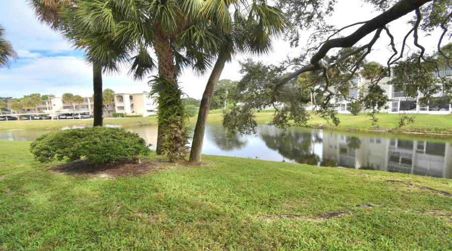 Dunedin, Florida 34698, 2 Bedroom Bedrooms, ,2 Bathroombathrooms,Residential,For Sale,Virginia,0,Mfrtb8430566