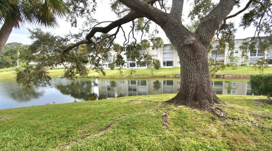 Dunedin, Florida 34698, 2 Bedroom Bedrooms, ,2 Bathroombathrooms,Residential,For Sale,Virginia,0,Mfrtb8430566