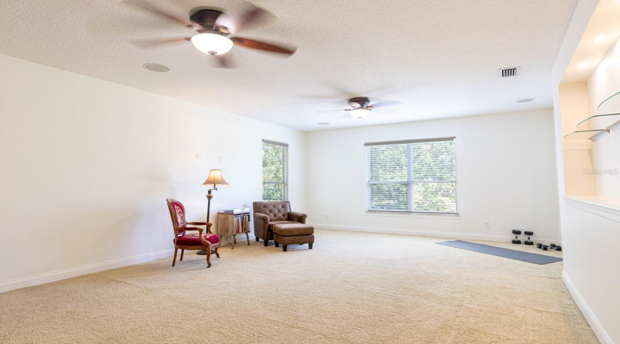 Bonus/Media Room