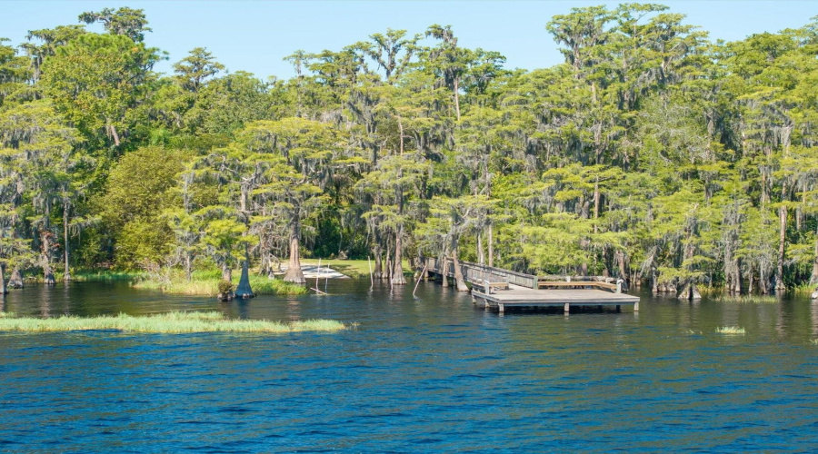 Lake Louisa