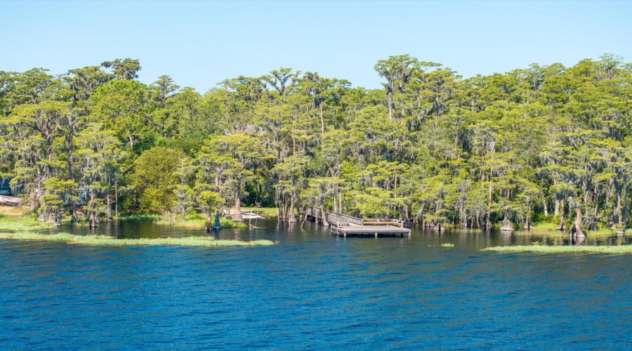 Lake Louisa - Public Access Minutes Away