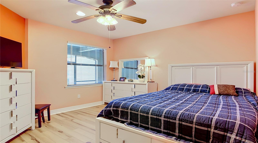 Guest Bed