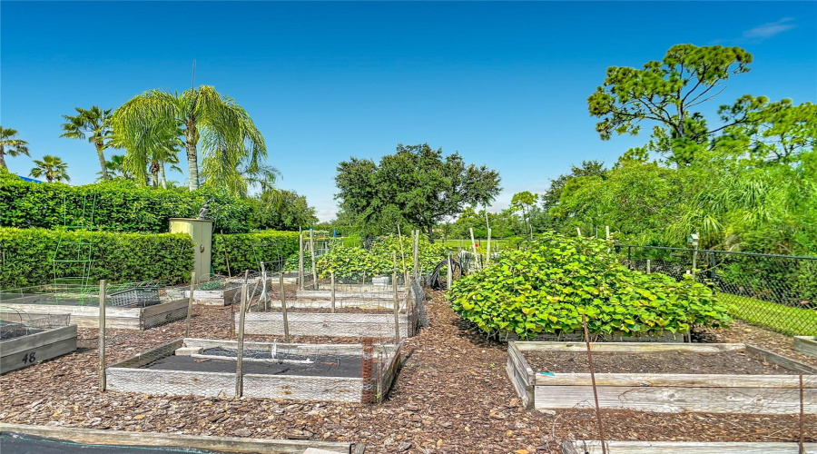 Community Garden