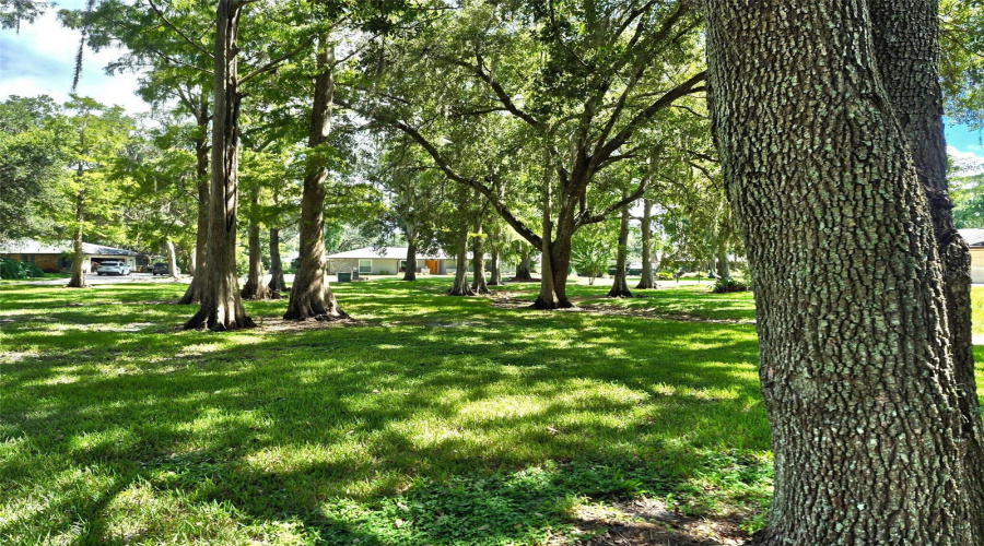St Cloud, Florida 34771, 4 Bedroom Bedrooms, ,2 Bathroombathrooms,Residential,For Sale,Whispering Pine,0,Mfro6436258