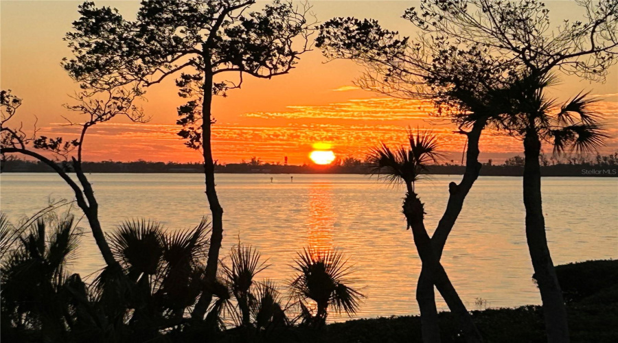 Bradenton, Florida 34210, 2 Bedroom Bedrooms, ,2 Bathroombathrooms,Residential,For Sale,Tidy Island,0,Mfra4652757