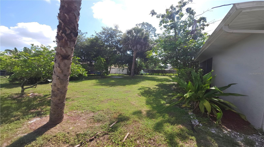 Yard