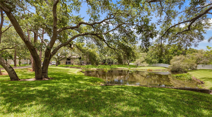 Clearwater, Florida 33764, 2 Bedroom Bedrooms, ,2 Bathroombathrooms,Residential,For Sale,Bay,0,Mfrtb8530131