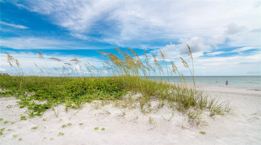 Longboat Key, Florida 34228, 3 Bedroom Bedrooms, ,3 Bathroombathrooms,Residential,For Sale,Harbourside,0,Mfra4697202
