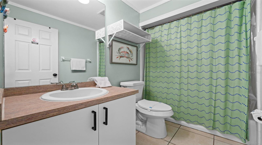 Guest Bathroom