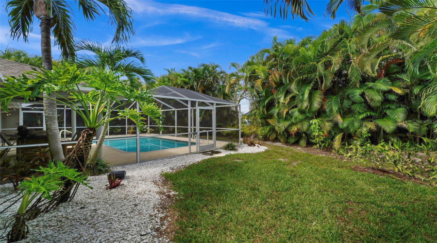 Magical Tropical Yard