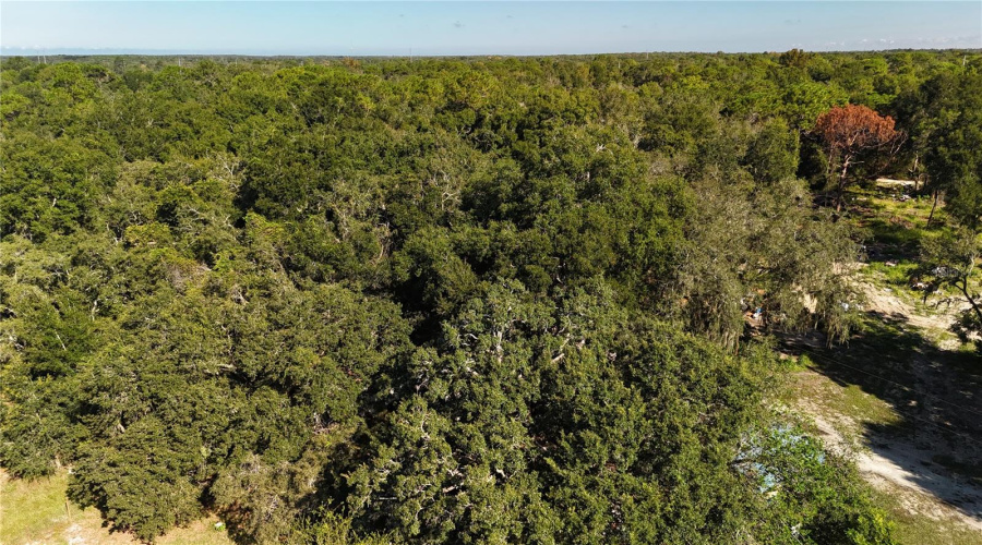 Hudson, Florida 34669, 3 Bedroom Bedrooms, ,2 Bathroombathrooms,Residential,For Sale,Robinhood,0,Mfrtb8433042