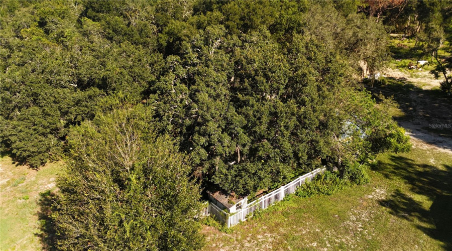 Hudson, Florida 34669, 3 Bedroom Bedrooms, ,2 Bathroombathrooms,Residential,For Sale,Robinhood,0,Mfrtb8433042