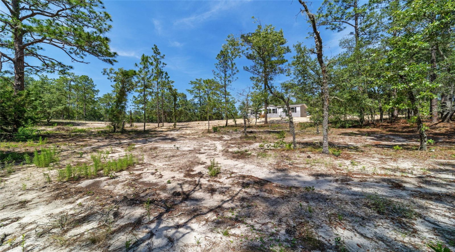 Morriston, Florida 32668, 3 Bedroom Bedrooms, ,2 Bathroombathrooms,Residential,For Sale,21St,0,Mfrgc540951