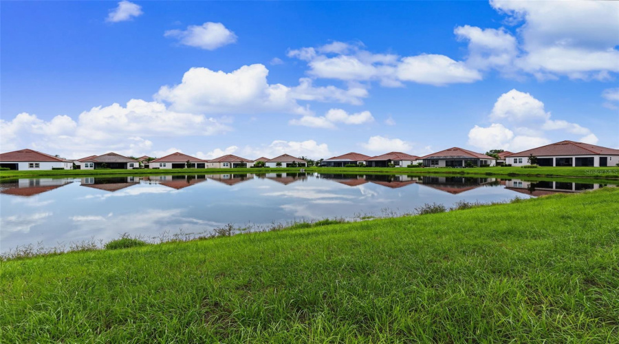 Wimauma, Florida 33598, 4 Bedroom Bedrooms, ,3 Bathroombathrooms,Residential,For Sale,Star Banks,0,Mfrtb8533657