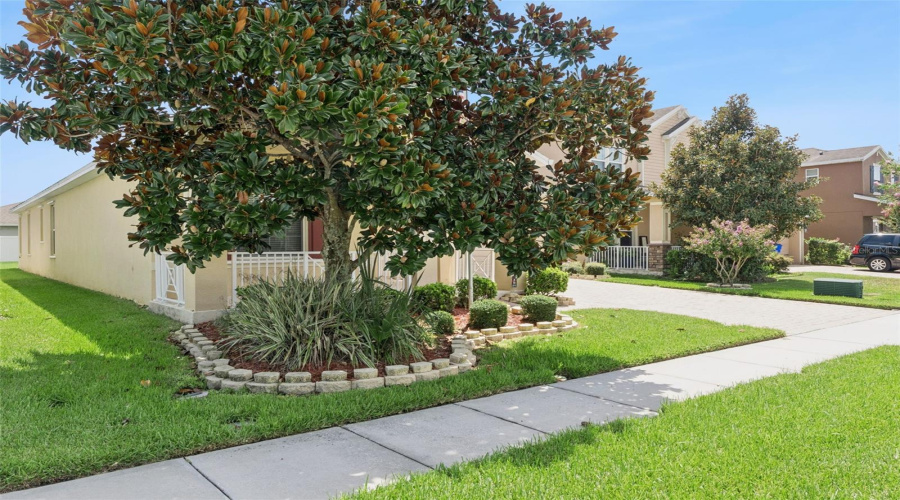 St Cloud, Florida 34771, 3 Bedroom Bedrooms, ,2 Bathroombathrooms,Residential,For Sale,Caterpillar,0,Mfro6435934
