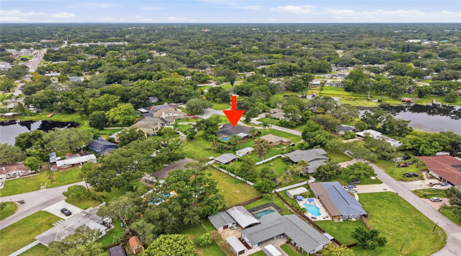 Tampa, Florida 33612, 3 Bedroom Bedrooms, ,2 Bathroombathrooms,Residential,For Sale,Pine Lake,0,Mfrtb8539650