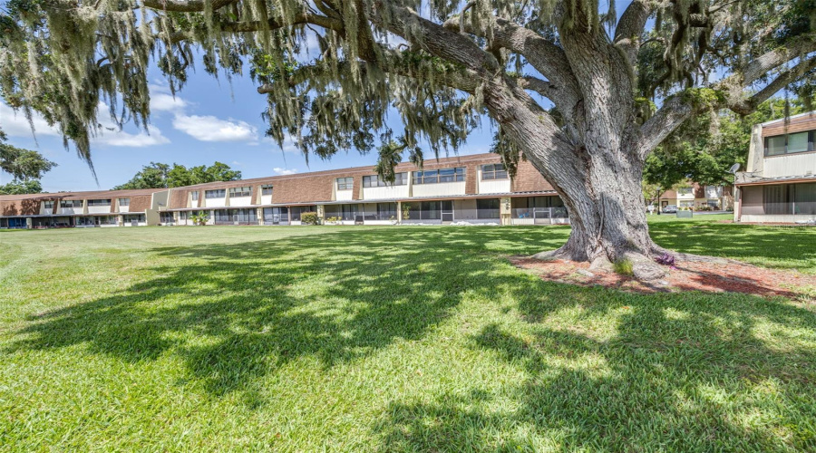 Mulberry, Florida 33860, 2 Bedroom Bedrooms, ,2 Bathroombathrooms,Residential,For Sale,Topher,0,Mfrl4964411