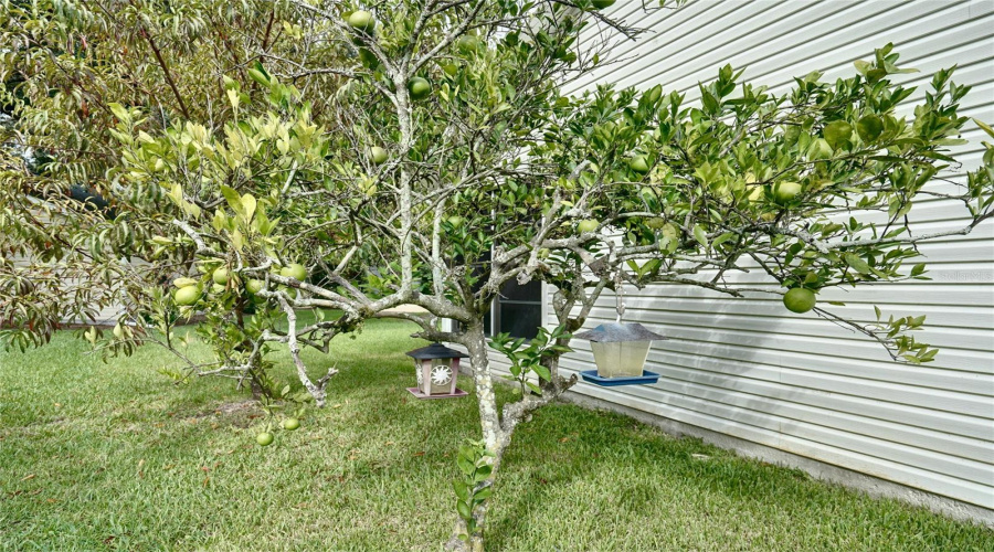 Leesburg, Florida 34748, 3 Bedroom Bedrooms, ,2 Bathroombathrooms,Residential,For Sale,Glen Eagle,0,Mfro6436929