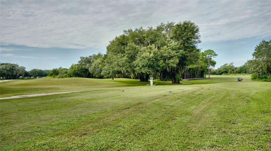 Leesburg, Florida 34748, 3 Bedroom Bedrooms, ,2 Bathroombathrooms,Residential,For Sale,Glen Eagle,0,Mfro6436929