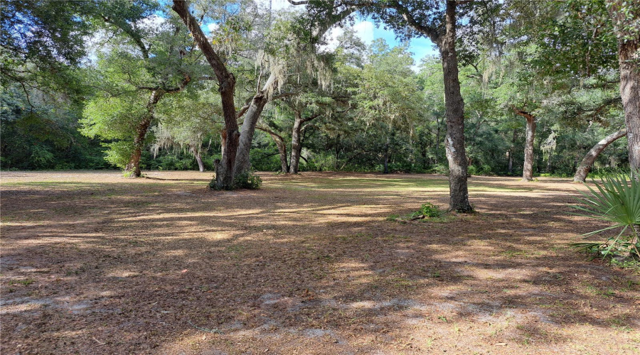 Ocklawaha, Florida 32179, 1 Bedroom Bedrooms, ,1 Bathroombathrooms,Residential,For Sale,95Th St Rd,0,Mfrom731165