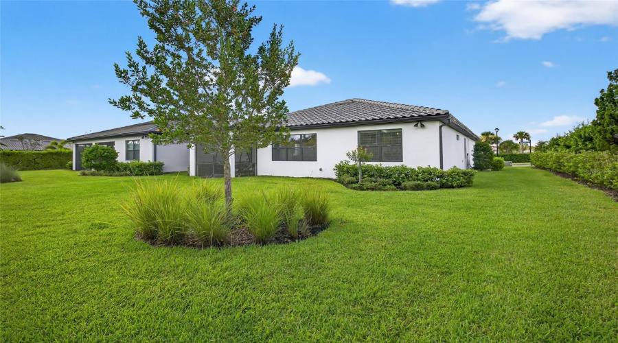Large Private Backyard, Room For A Swimming Pool