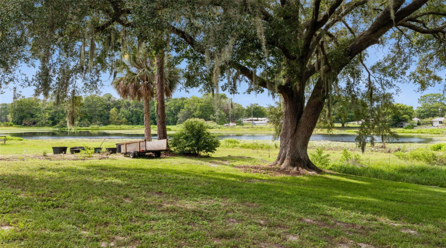 Eustis, Florida 32726, 3 Bedroom Bedrooms, ,2 Bathroombathrooms,Residential,For Sale,Fairway,0,Mfro6436910