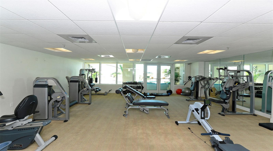 Rivo Gym