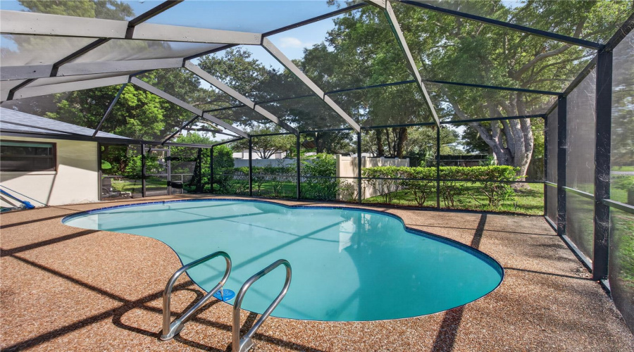 Fully Caged Pool