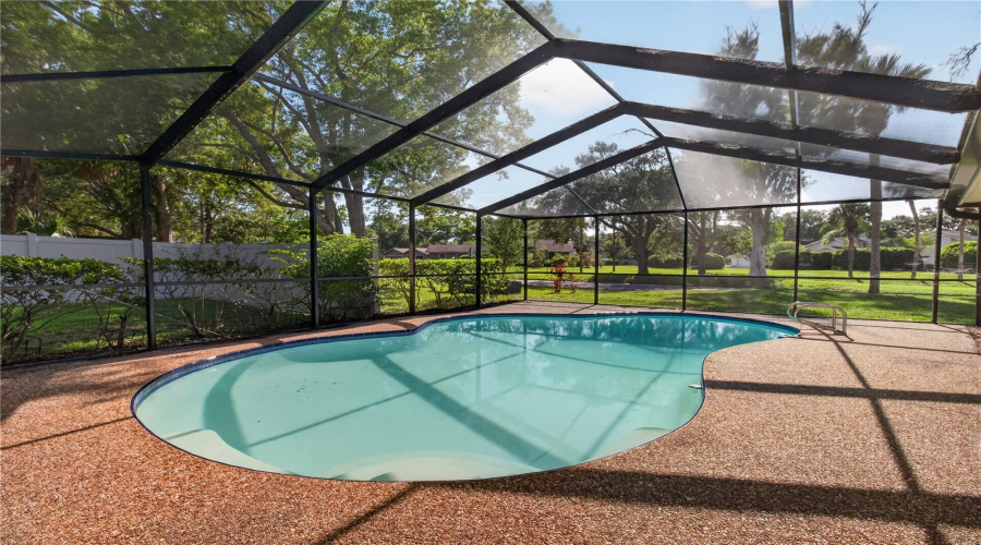 Fully Caged Pool