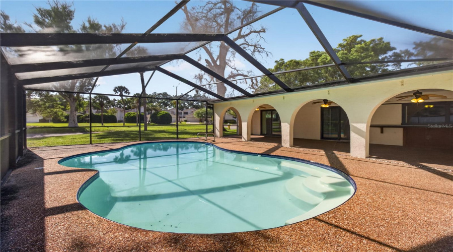 Fully Caged Pool