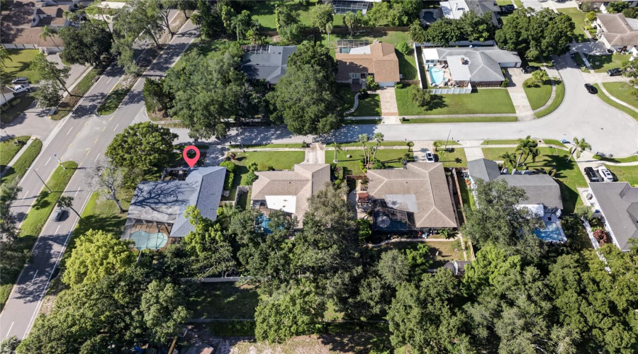 Birdseye View