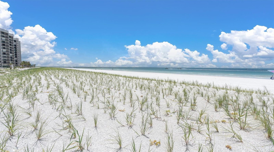 Clearwater Beach, Florida 33767, 2 Bedroom Bedrooms, ,2 Bathroombathrooms,Residential,For Sale,Gulf,0,Mfrtb8537218