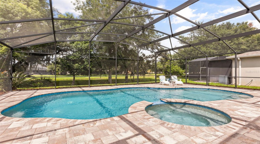 Salt Water Pool/Spa