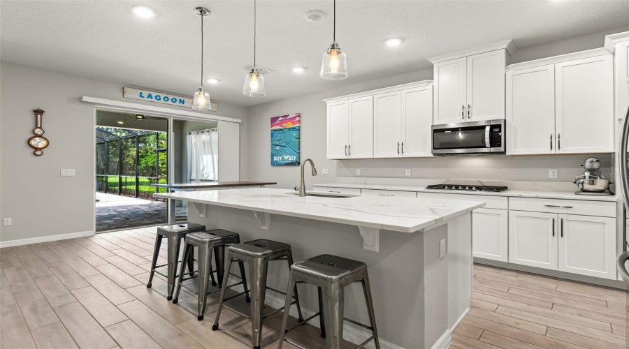 Gourmet Kitchen