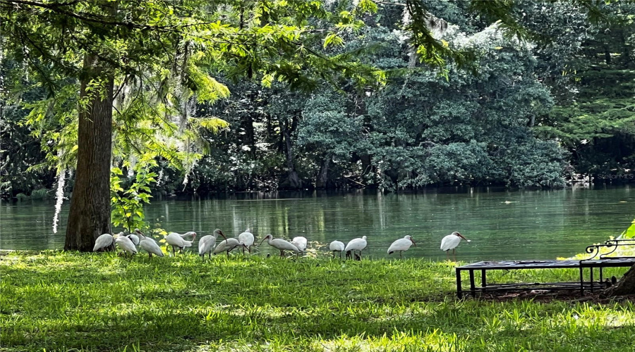 Dunnellon, Florida 34432, 1 Bedroom Bedrooms, ,1 Bathroombathrooms,Residential,For Sale,185Th,0,Mfrtb8418268