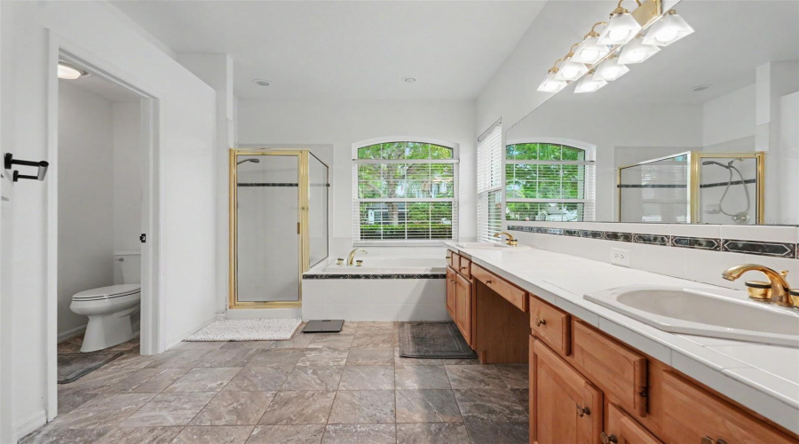 Odessa, Florida 33556, 4 Bedroom Bedrooms, ,3 Bathroombathrooms,Residential,For Sale,Royal Dublin,0,Mfrtb8533408