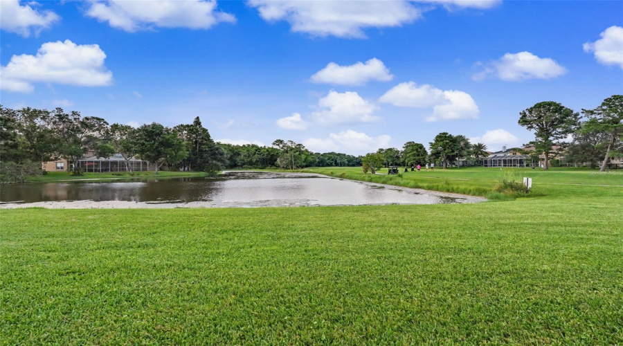 Odessa, Florida 33556, 4 Bedroom Bedrooms, ,3 Bathroombathrooms,Residential,For Sale,Royal Dublin,0,Mfrtb8533408