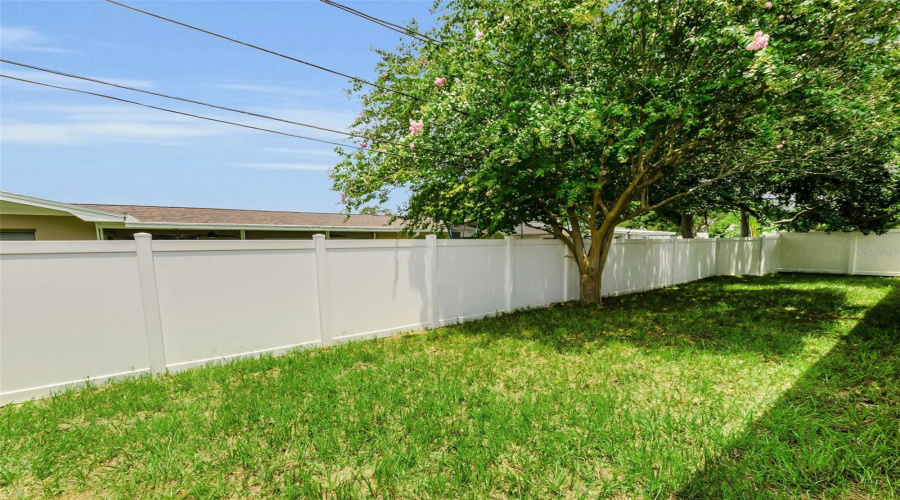 New Sod In Backyard And Sideyard!  Look How Green!!!