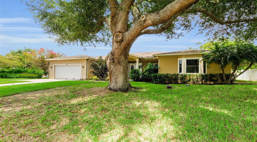 City Of Clearwater Natural Gas For Heat, Stove, Fireplace And Dryer!