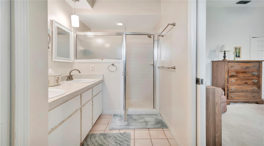 Another View Of Primary Bath