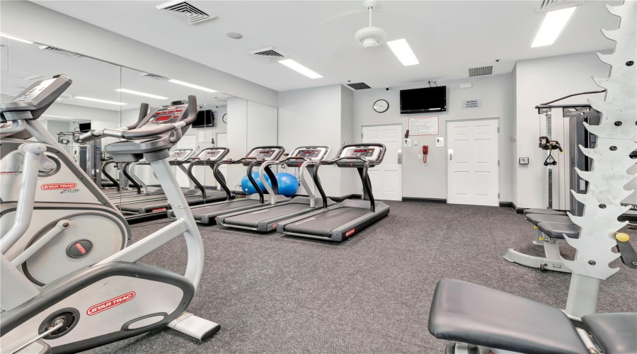 Gym